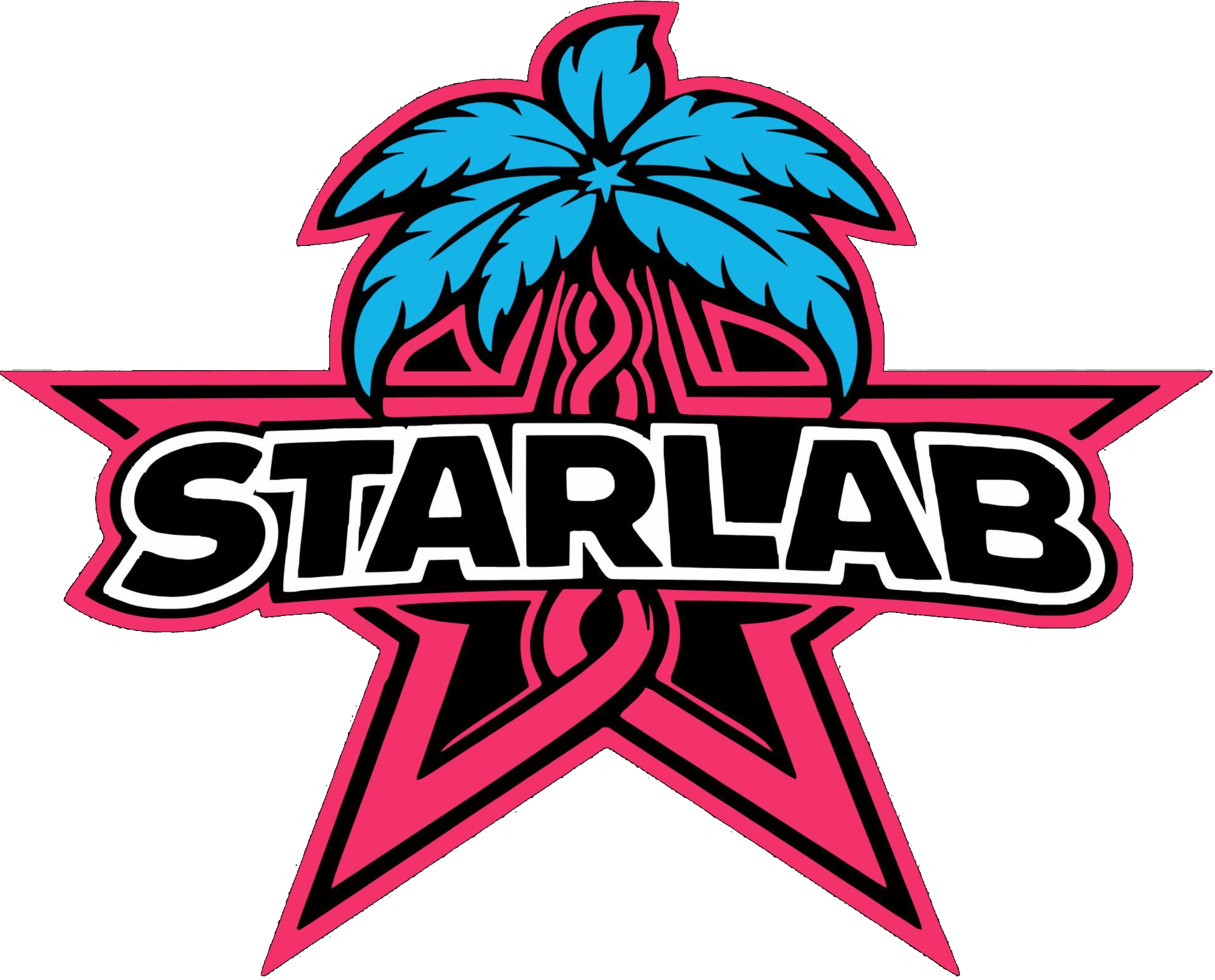 STARLAB Wrestling School Logo